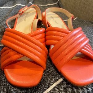 Orange slides